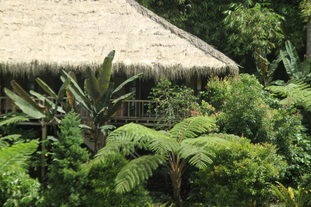 Hotel Warung Rekreasi Bedugul Chambre photo