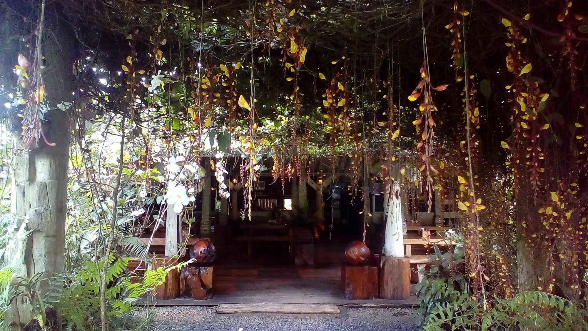 Hotel Warung Rekreasi Bedugul Extérieur photo